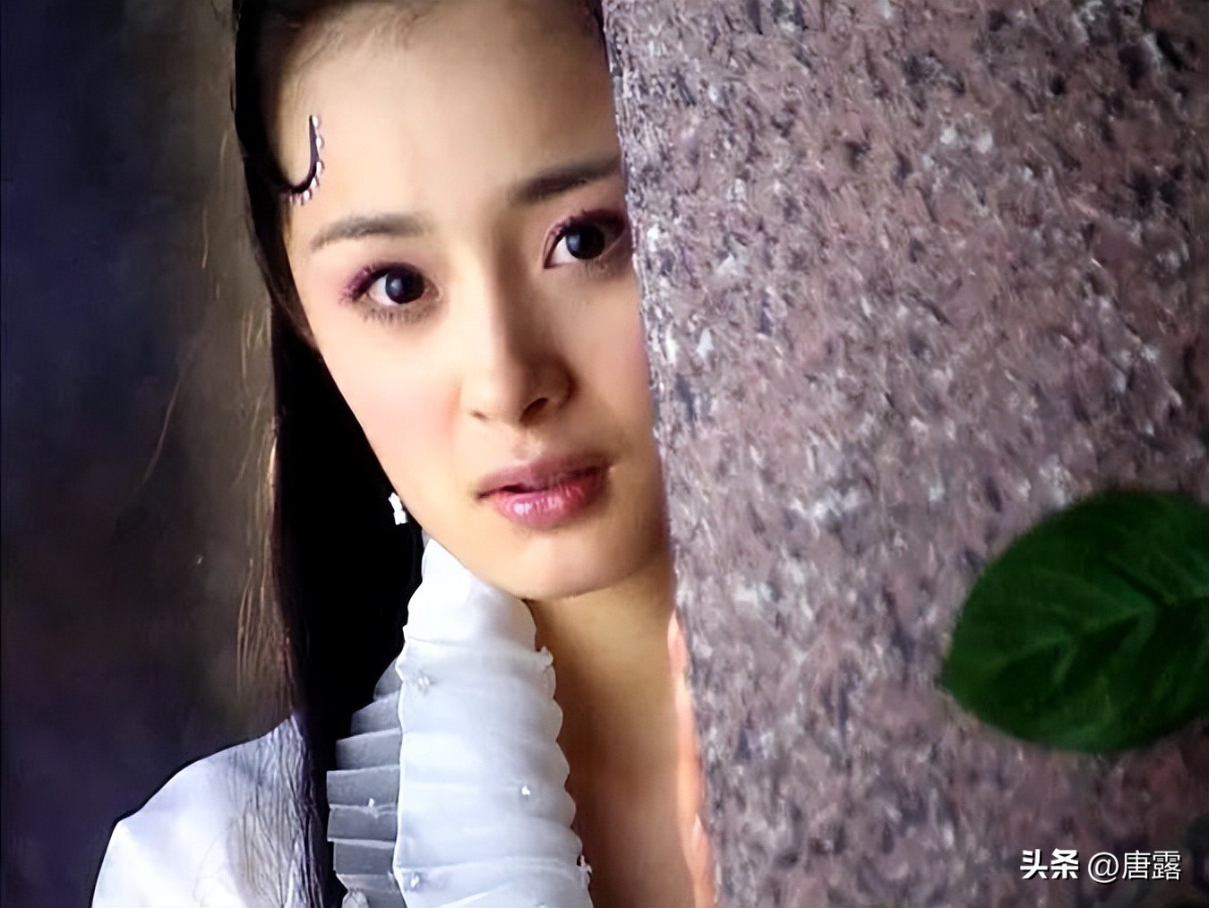 娱乐圈小说有杨幂_杨幂演技转型_85花现状分析