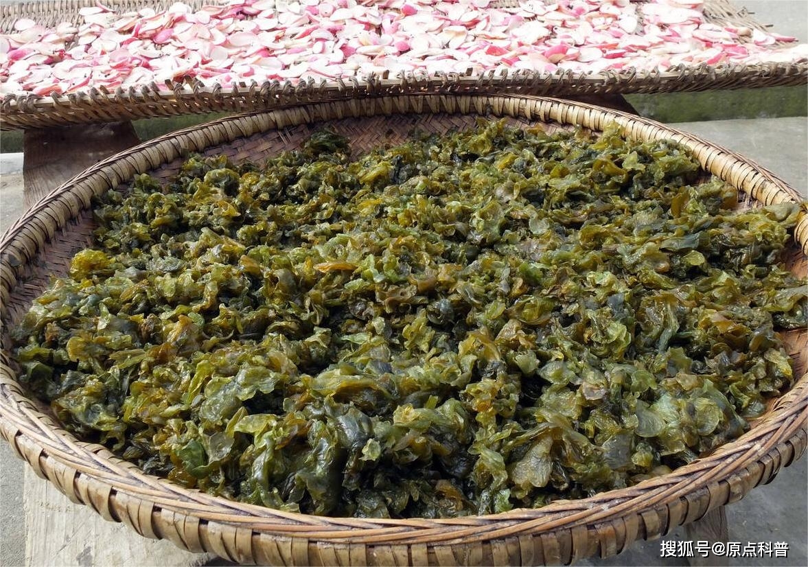 黑暗料理排行榜前十名网红,_江苏特色黑暗料理盘点_江苏黑暗料理排名