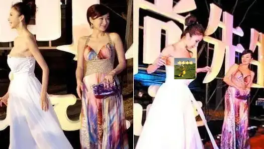 韩雪萨顶顶假唱门_女明星做假_明星假唱事件